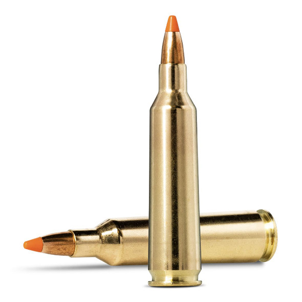 The image shows a 22-250 Remington caliber cartridge with a 55 grain Tipstrike-Varmint projectile from Norma Ammunition. This type of round is specifically tailored for varmint hunting, featuring a bullet design optimized for accuracy and terminal performance against small game. The orange tip likely indicates a specific design feature, such as a ballistic tip, to enhance its effectiveness. This ammunition is typically used by hunters and shooters who require precision and reliability for target shooting or hunting varmints and small predators.