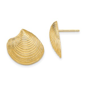 14KT Gold  2-D Textured and Polished Clam Shell Post Earrings TE813