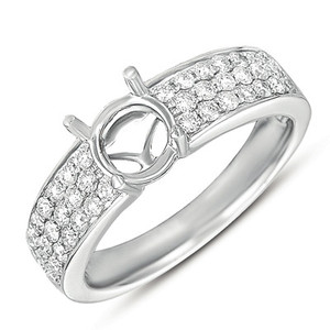 Diamond Engagement Ring 
 in 14K White Gold 
 

 EN4024WG