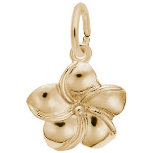 Plumeria Flower Rembrant Charm