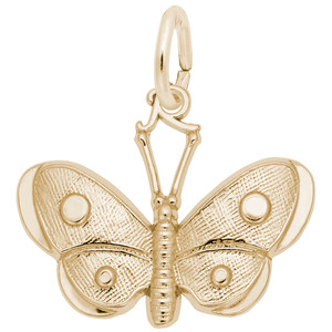 Spotted Wings Butterfly Rembrant Charm