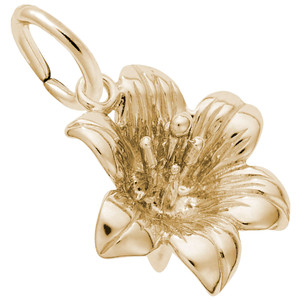 Lily Flower Rembrant Charm