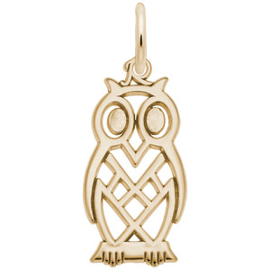 Flat Owl Rembrant Charm