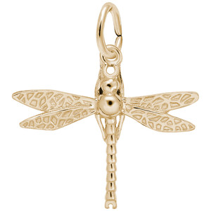 Dragonfly Rembrant Charm