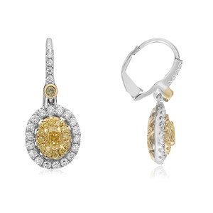 Two Tone Diamond Double Halo Drop Earrings sin 14KT Gold NE961