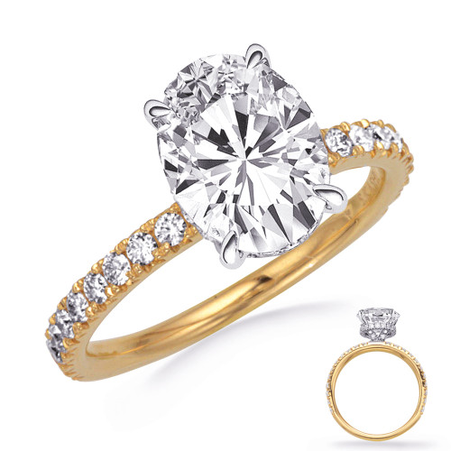 14KT Gold Diamond Engagement Ring Setting  EN8367-8X6MYW