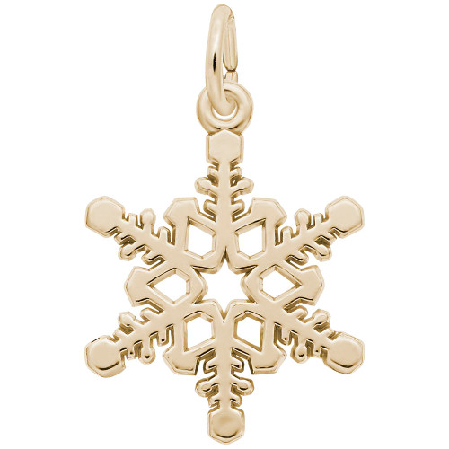 Snowflake Rembrant Charm