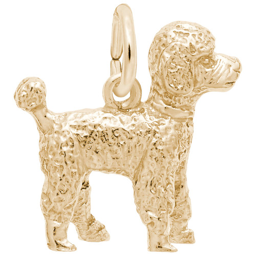 Poodle Dog Rembrant Charm
