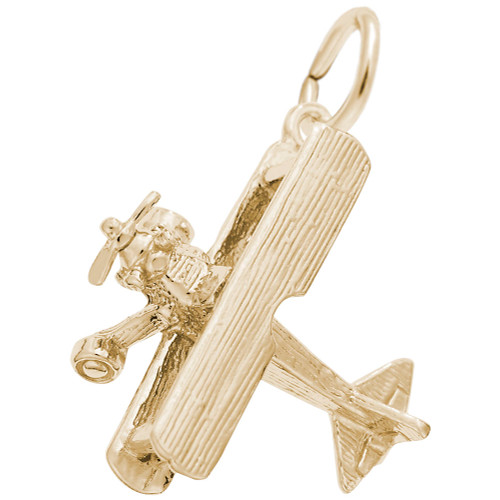 Biplane Rembrant Charm