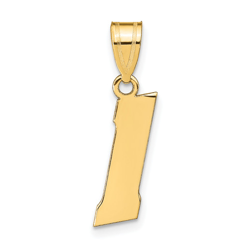 14KT Gold  Caduceus with Nurses Cap Pendant C3114