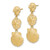 14KT Gold  Scallop, Sand Dollar,,Scallop Dangle Earrings TE825