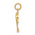 14KT Gold Gold Dolphin Charm