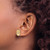 14k Polished and Textured Diamond Oval Post Earrings