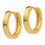 14k White Gold Round Hinged Hoop Earrings TM625
