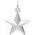 Star Rembrant Charm