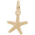 Starfish Accent Rembrant Charm