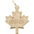 Flat Canada Maple Leaf Rembrant Charm