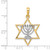 14KT Gold  with White Rhodium Solid Menorah In Star Of David Charm