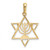 14KT Gold  with White Rhodium Solid Menorah In Star Of David Charm