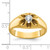10KT IBGoodman Men's Diamond Complete Ring