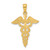 10K Gold  Caduceus Pendant