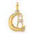 14K Gold  Childrens CZ Cat and Moon Pendant