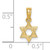 14K Gold  Mini Star Of David w/ Engraved Swirl Charm