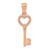 14K Gold  Rose Gold 3D Polished Heart Key Charm