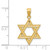 14K Gold  Diamond-cut Polished Star of David Pendant