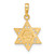 14K Gold  Star of David w/Tablets in Center Pendant