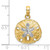 14K Gold  with White Rhodium Polished Sand Dollar Charm