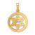 14KT Gold  Brushed and Diamond-cut Angel Pendant D4751