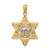 14KT Gold  Brushed 3D Italian Horn Pendant D4570