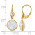Herco 14KT Gold  Polished Moonstone and White Topaz Leverback Dangle Earrings 14RGEA205YD
