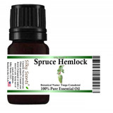 Spruce Hemlock Essential Oil