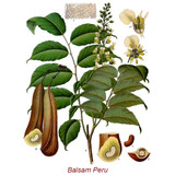 Balsam Peru (France) Wild Crafted Essential Oil