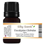 Eucalyptus Globulus (Blue Gum) Organic Essential Oil