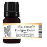 Eucalyptus Radiata (Narrow Leaf) Organic Essential Oil