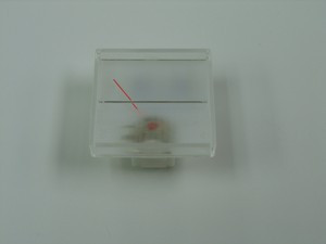 Replacement Meter, Teaberry Stalker, Realistic, Robyn Ect