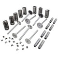 Valve Train Kit, IH (Gas C157, C200) 454 464 544 574 674 2544 3514