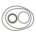 Brake O-Ring and Seal Kit, IH 706 756 766 806 826 856 966 1026 1066 1206 1256 1456 1466 1468 21026 21456 2706 2756 2806 2826 2856, Hydro 100