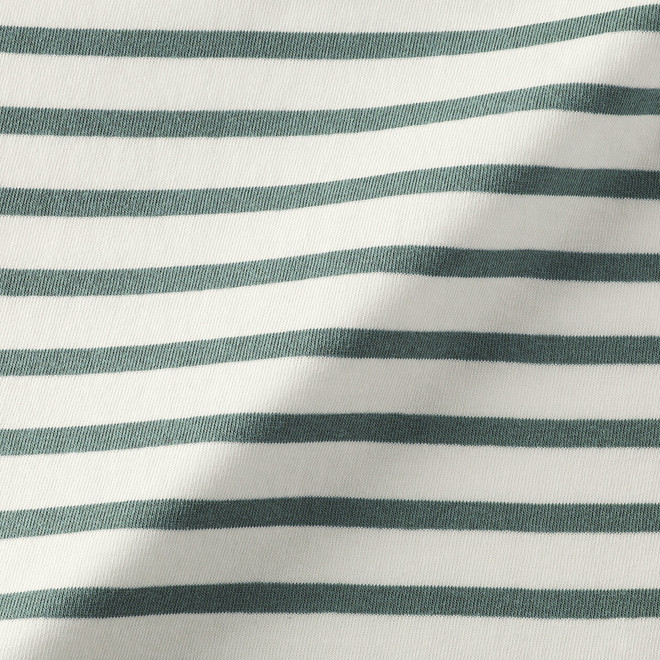 Rayures Vert Cendré