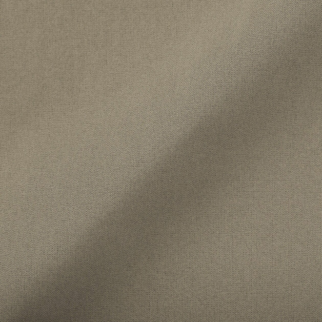 Brun Grisâtre