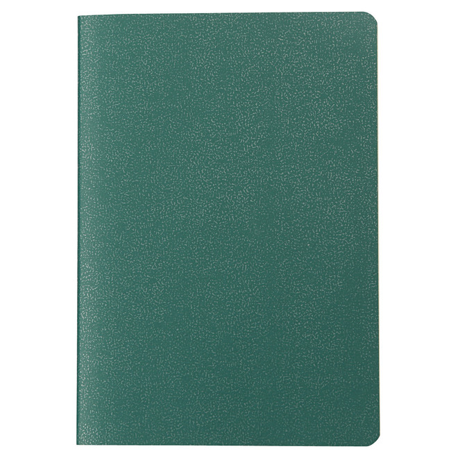 Carnet type passeport vert