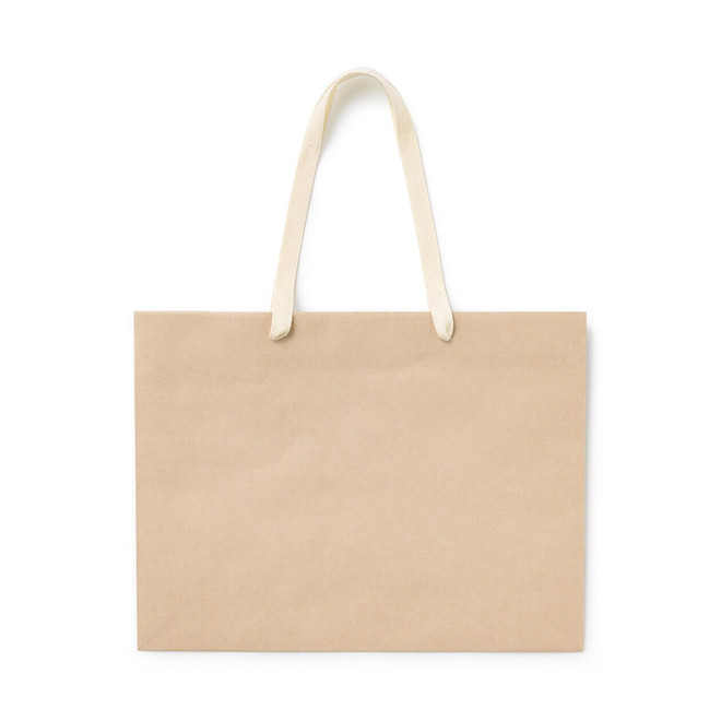 Sac en papier kraft L..