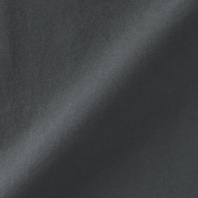 Gris Charbon