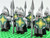 LOTR Rohan Royal Guards Heavy Long Spears Army 10 Minifigures Set