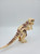 Tan Indominus Rex 6 inch Tall Dinosaur with Roaring Sound