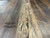 Alan's Flooring, Doors & More
304 East James Campbell Blvd
Columbia, TN 38401
www.AlansFlooringDoorsMore.com