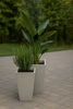 Napoli Concrete Planter – Modern Outdoor Elegance in Two Sleek Sizes Napoli Concrete Planter – Modern Outdoor Elegance in Two Sleek Sizes